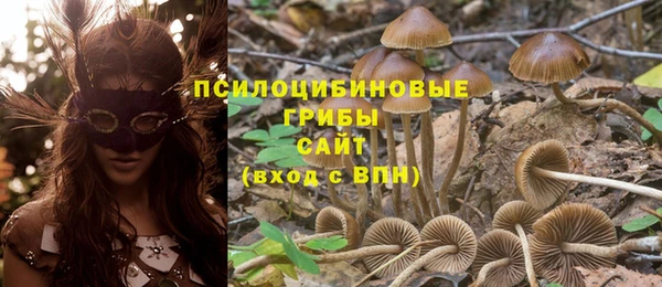 круглые Аркадак