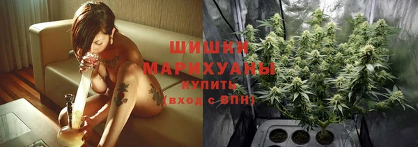 прущий лед Арсеньев