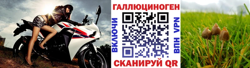 Псилоцибиновые грибы мухоморы наркота blacksprut Менделеевск
